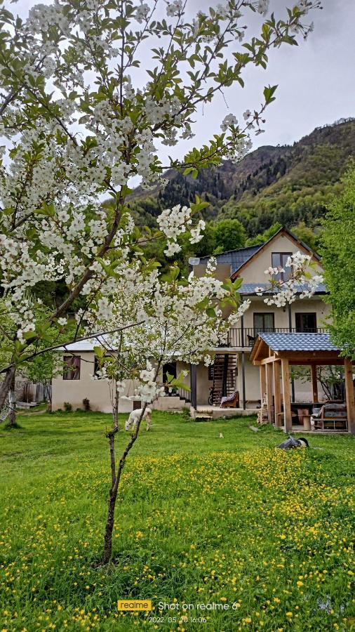 House B&B Mestia Exterior photo