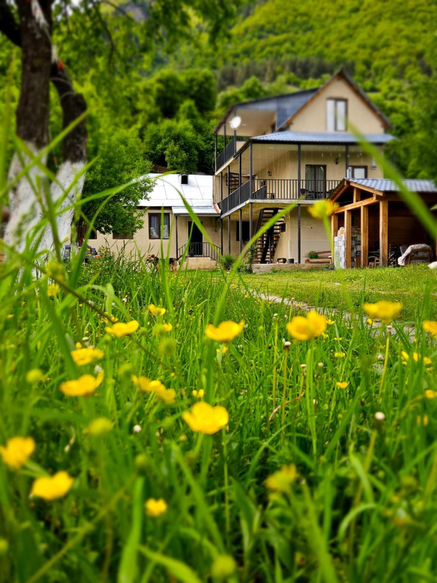 House B&B Mestia Exterior photo