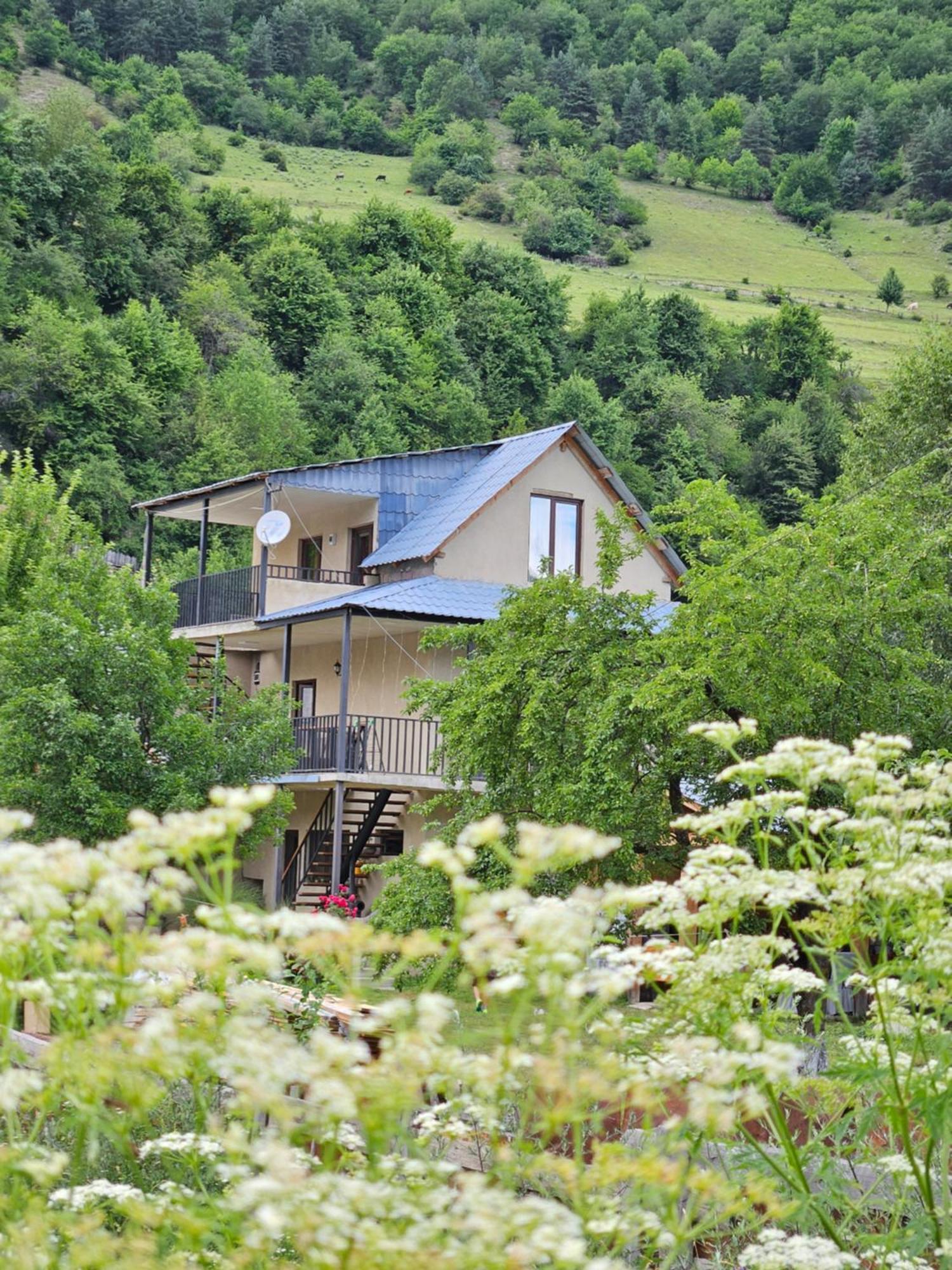 House B&B Mestia Exterior photo